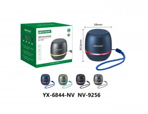 NV-9256 NEWVEW WIRELESS SPEAKER