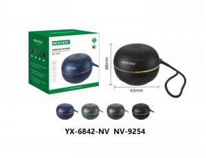 NV-9254 NEWVEW WIRELESS SPEAKER