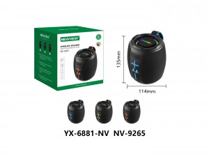 NV-9265 NEWVEW WIRELESS SPEAKER