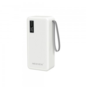 NV-D0154 30000mAh NEWVEW POWER BANK HIGH-PERFORMANCE MOBILE POWER BANK
