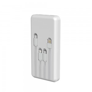 NV-D0132C 10000mAh NEWVEW POWER BANK HIGH-PERFORMANCE MOBILE POWER BANK
