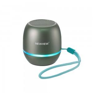 NV-9256 NEWVEW WIRELESS SPEAKER