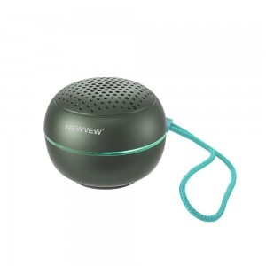 NV-9254 NEWVEW WIRELESS SPEAKER