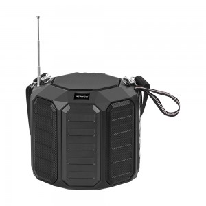 NV-8983 Portable Wireless Speaker with External Antenna