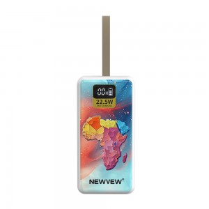 NV-D0133C 20000mAh NEWVEW POWER BANK HIGH-PERFORMANCE MOBILE POWER BANK