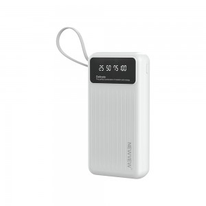 NV-D0097 20000mAh NEWVEW POWER BANK HIGH-PERFORMANCE MOBILE POWER BANK