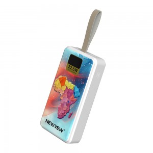 NV-D0133C 20000mAh NEWVEW POWER BANK HIGH-PERFORMANCE MOBILE POWER BANK
