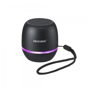 NV-9256 NEWVEW WIRELESS SPEAKER