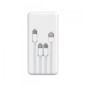NV-D0132C 10000mAh NEWVEW POWER BANK HIGH-PERFORMANCE MOBILE POWER BANK