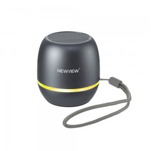 NV-9256 NEWVEW WIRELESS SPEAKER