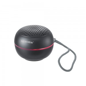 NV-9254 NEWVEW WIRELESS SPEAKER