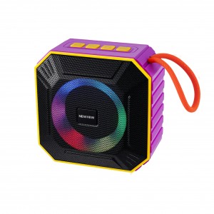 NV-9214 NEWVEW WIRELESS SPEAKER