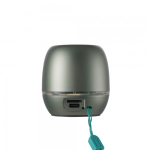 NV-9256 NEWVEW WIRELESS SPEAKER