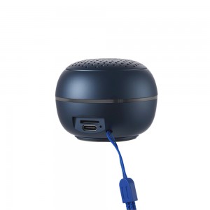 NV-9254 NEWVEW WIRELESS SPEAKER