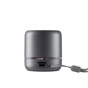 NV-9255 NEWVEW WIRELESS SPEAKER