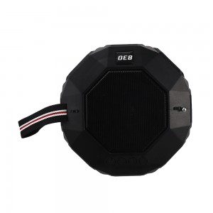 NV-8983 Portable Wireless Speaker with External Antenna