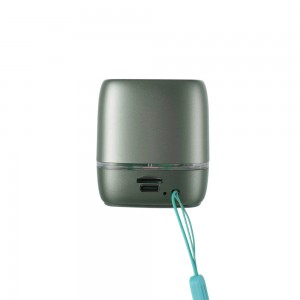 NV-9257 NEWVEW WIRELESS SPEAKER
